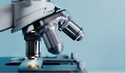 Life Sciences and Technology