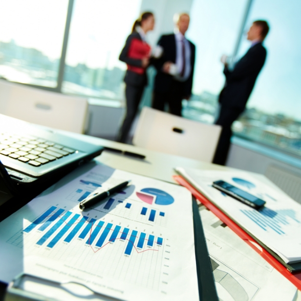 Business Litigation/Law